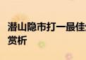 潜山隐市打一最佳生肖动物谜语解释释义刨解赏析