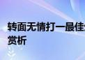 转面无情打一最佳生肖动物谜语解释释义刨解赏析