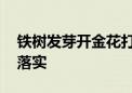 铁树发芽开金花打一最佳生肖动物,精选解释落实