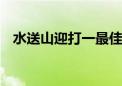 水送山迎打一最佳生肖动物,词语解释落实