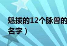 魁拔的12个脉兽的图片（魁拔的12个脉兽的名字）