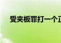 受夹板罪打一个正确生肖.详细解释落实