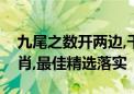 九尾之数开两边,千金一撒二值钱是指什么生肖,最佳精选落实