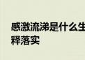 感激流涕是什么生肖解一个生肖动物.仔细解释落实