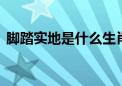 脚踏实地是什么生肖动物,全面释义解释落实