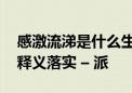 感激流涕是什么生肖动物打一生肖,词语解析释义落实 – 派