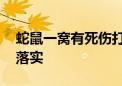 蛇鼠一窝有死伤打一最佳生肖动物,精选解释落实