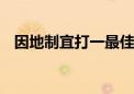 因地制宜打一最佳生肖动物,精选解释落实