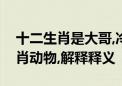 十二生肖是大哥,冷门特马在图中打一正确生肖动物,解释释义