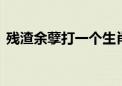 残渣余孽打一个生肖动物,释义词语落实解释