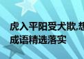 虎入平阳受犬欺,想见四五除九马是什么生肖,成语精选落实