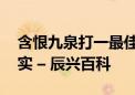 含恨九泉打一最佳生肖动物,成语释义解释落实 – 辰兴百科