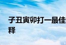 子丑寅卯打一最佳生肖动物,最佳释义答案解释