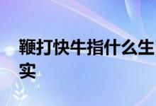 鞭打快牛指什么生肖猜一个动物.详细解释落实