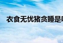 衣食无忧猪贪睡是哪个生肖,成语解释落实