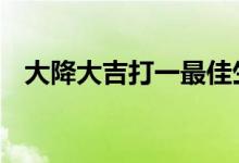 大降大吉打一最佳生肖动物,精选解释落实