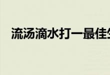 流汤滴水打一最佳生肖动物,精选解释落实