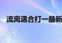 流离遇合打一最新生肖动物,成语解释落实