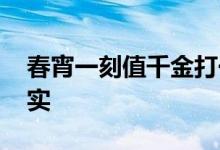 春宵一刻值千金打一个生肖.词语诠释解释落实