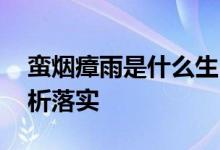 蛮烟瘴雨是什么生肖解一个生肖动物.词语解析落实