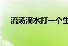 流汤滴水打一个生肖动物,资料解释落实