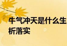 牛气冲天是什么生肖解一个生肖动物.词语解析落实