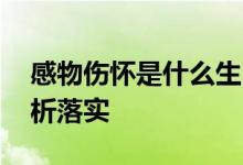 感物伤怀是什么生肖解一个动物生肖.精准解析落实