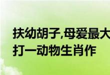 扶幼胡子,母爱最大,怕冷怕饿怕学坏打一生肖打一动物生肖作