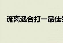 流离遇合打一最佳生肖动物,词语解释落实