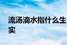 流汤滴水指什么生肖猜一个动物.答案解释落实