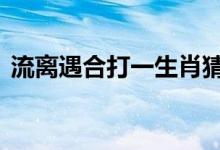 流离遇合打一生肖猜一个动物,标准解释落实