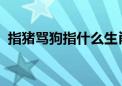 指猪骂狗指什么生肖数字精选最佳资料落实