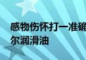 感物伤怀打一准确生肖,词语精选落实 – 派米尔润滑油