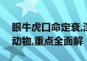 眼牛虎口命定衰,深山风动三更夜打一个生肖动物,重点全面解