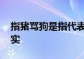 指猪骂狗是指代表什么生肖,最佳精选解释落实