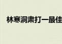 林寒洞肃打一最佳生肖动物,精选解释落实