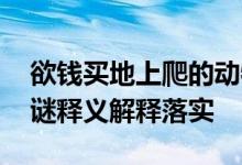 欲钱买地上爬的动物指是打代表哪个生肖,字谜释义解释落实