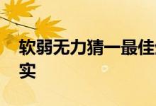 软弱无力猜一最佳生肖动物,精选词语解释落实