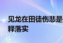 见龙在田徒伤悲是什么生肖数字,最新揭晓解释落实