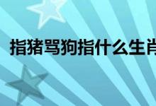 指猪骂狗指什么生肖数字精选最佳资料落实