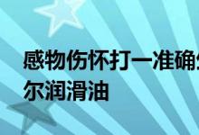 感物伤怀打一准确生肖,词语精选落实 – 派米尔润滑油