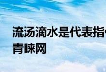 流汤滴水是代表指什么生肖,词语精选分析 – 青睐网