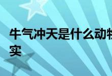 牛气冲天是什么动物生肖打一动物经典解答落实