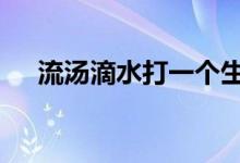 流汤滴水打一个生肖数字,第一解析落实