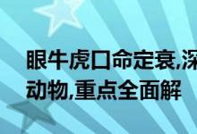 眼牛虎口命定衰,深山风动三更夜打一个生肖动物,重点全面解