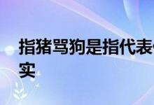 指猪骂狗是指代表什么生肖,最佳精选解释落实