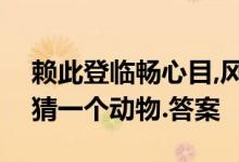 赖此登临畅心目,风声肃肃雁飞绝是什么生肖猜一个动物.答案