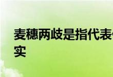 麦穗两歧是指代表什么生肖,最佳精选解释落实