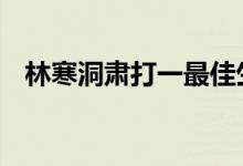 林寒洞肃打一最佳生肖动物,精选解释落实