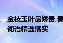 金枝玉叶最娇贵,春风得意发财是指什么生肖,词语精选落实